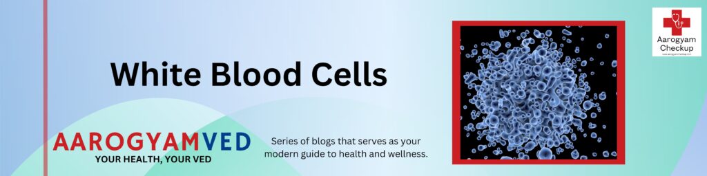 White Blood Cells