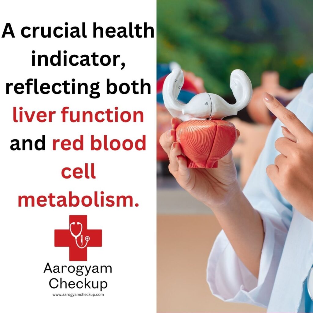 Total Bilirubin Test